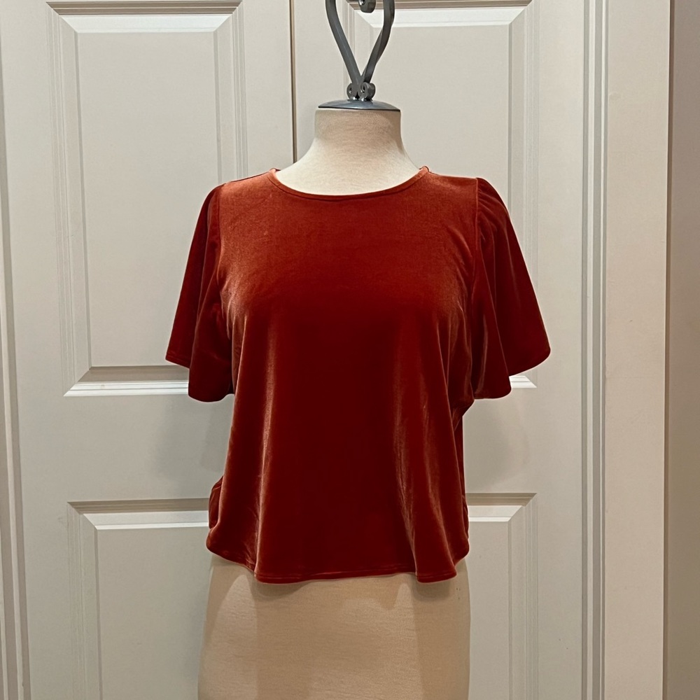 EUC Madewell Rust “Velvet” Shirt Small